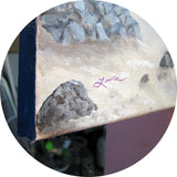 Seagull Cove Original Painting Laura Milnor Iverson Official Site