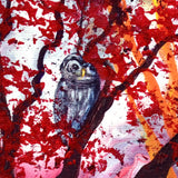 Barred Owl in the Rainbow Forest Original Painting - SOLD - Prints Available