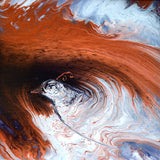 Copper Phoenix Original Painting Laura Milnor Iverson Official Site