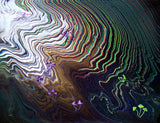 Mushrooms in the Heart of the Forest Original Painting Tree Ring Pour