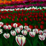 SOLD Tulip Fields Under White Fluffy Clouds Original Painting - Prints Available