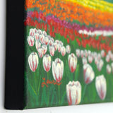 SOLD Tulip Fields Under White Fluffy Clouds Original Painting - Prints Available