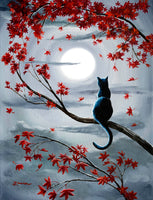 Black Cat in Silvery Moonlight - SOLD - Prints Available