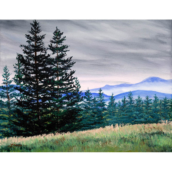 Top of Bald Hill Original Painting Corvallis Oregon Landscape