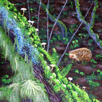 Hedgehog and Mushrooms in the Forest Original Painting