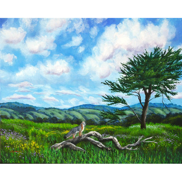 Gray Fox on a Fallen Branch Original Painting Half Moon Bay California Landscape