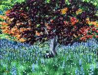 Tuxedo Cat under a Japanese Maple Tree Original Painting