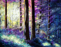 Sunlit Dawn in the Woods Original Painting Redwoods Landscape