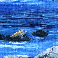 Seals at Pacific Grove Original Painting Laura Milnor Iverson Official Site