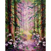 Daybreak In Springtime Redwood Trees Original Painting - Laura Milnor Iverson Official Site