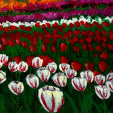 Tulip Fields Under White Fluffy Clouds Original Painting